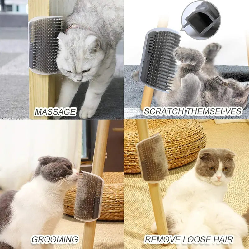 description_selected1