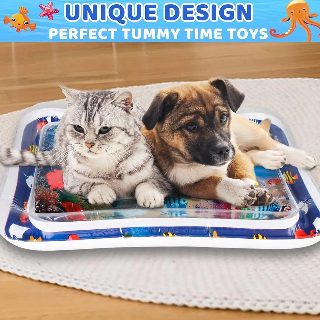 description_selected4